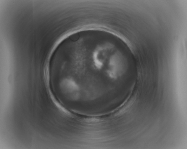 X0000113631515200909251210