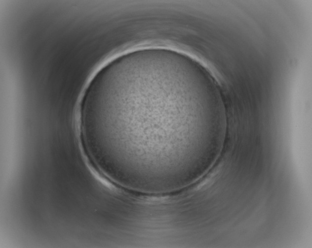 X0000113631519200909251210