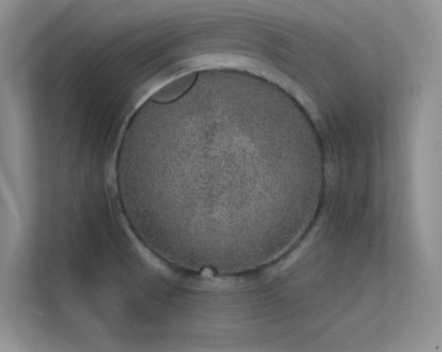 X0000113631521200909251210