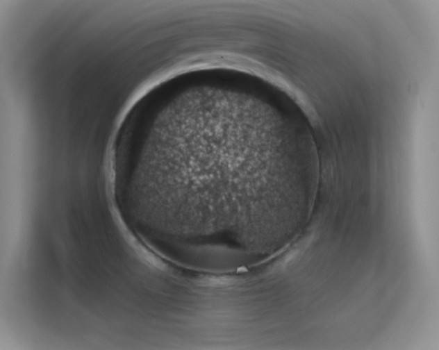 X0000113631522200909251210