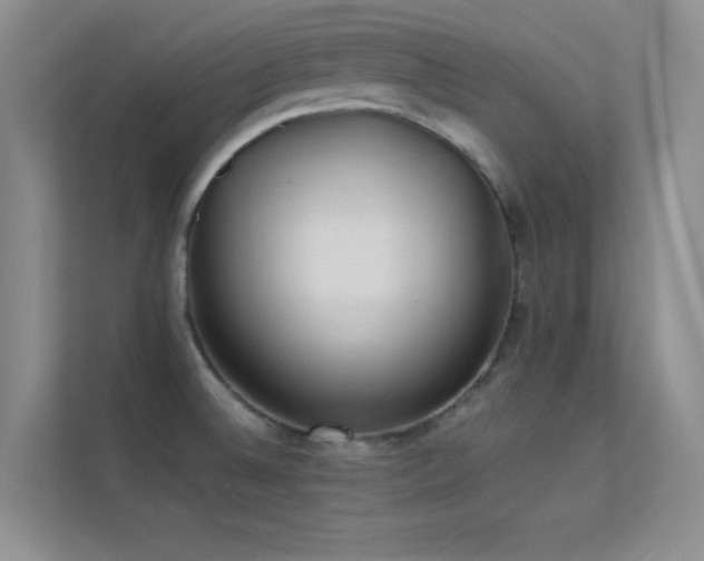 X0000113631524200909251210