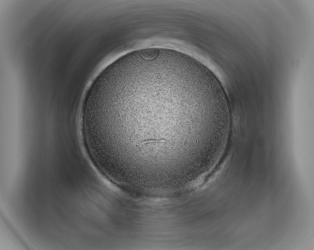 X0000113631525200909251210