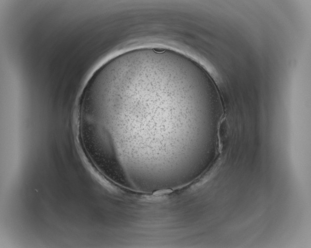 X0000113631526200909251210