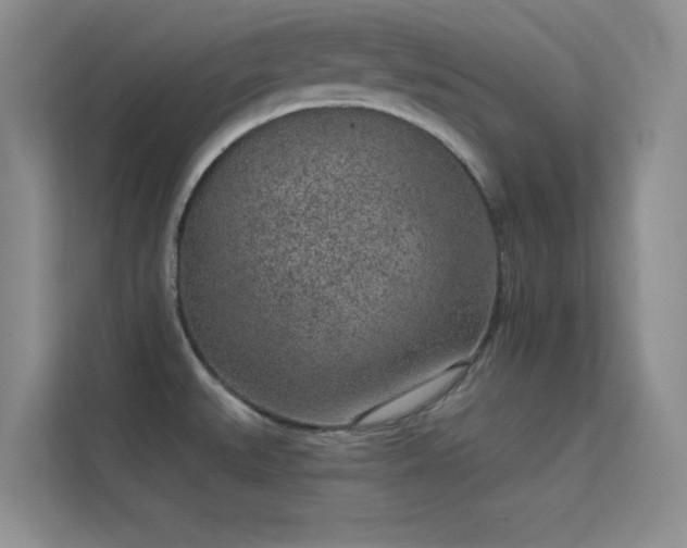 X0000113631527200909251210