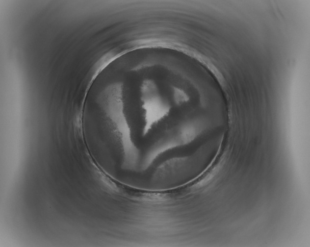X0000113631529200909251210