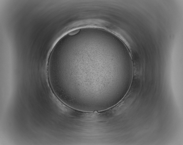 X0000113631532200909251210