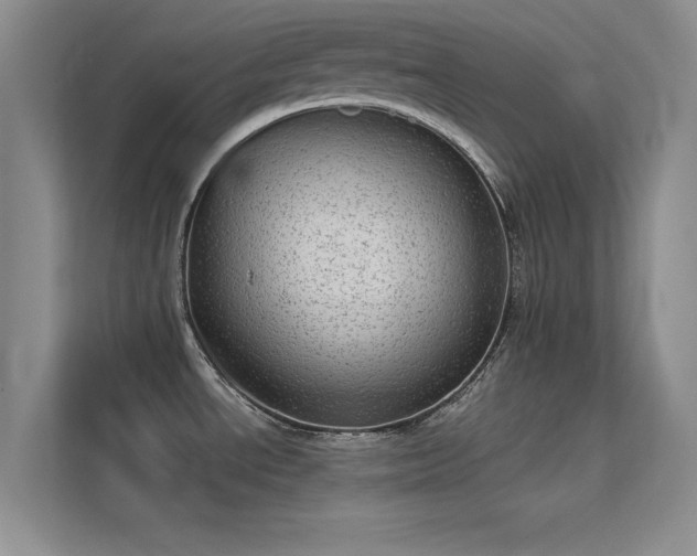 X0000113631534200909251210