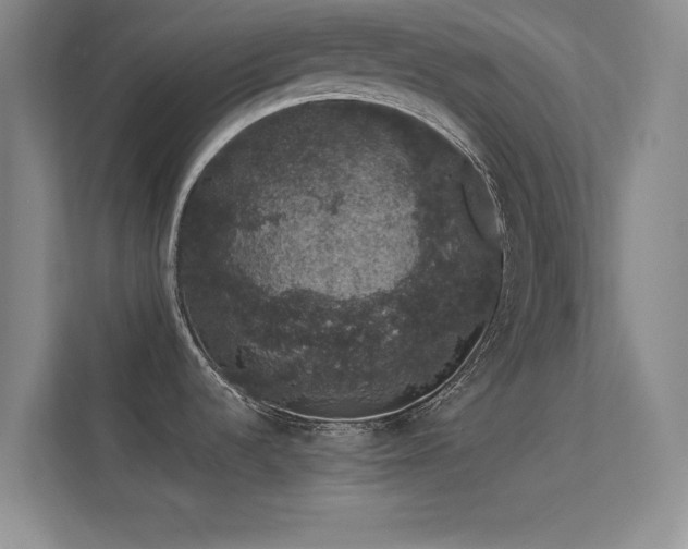 X0000113631536200909251210