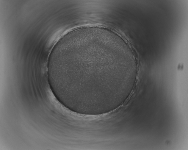 X0000113630002200910021903