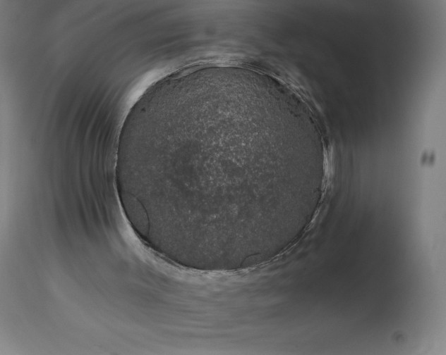X0000113630003200910021903