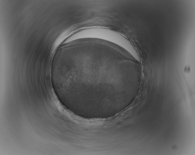 X0000113630004200910021903