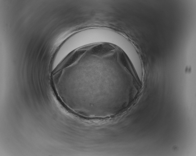 X0000113630005200910021903