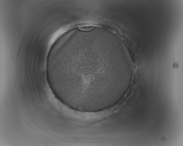 X0000113630006200910021903