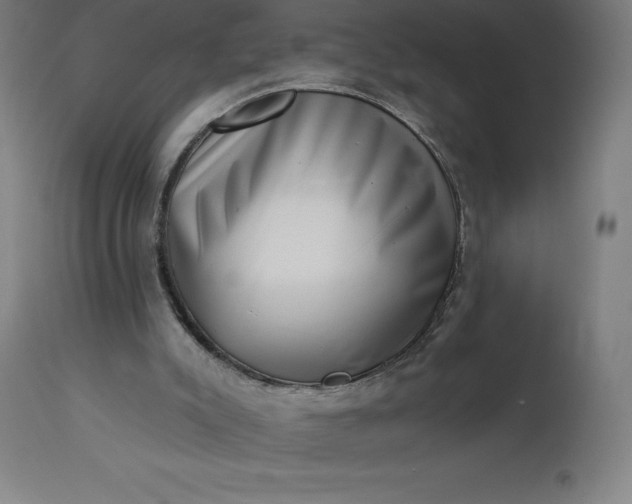 X0000113630007200910021903