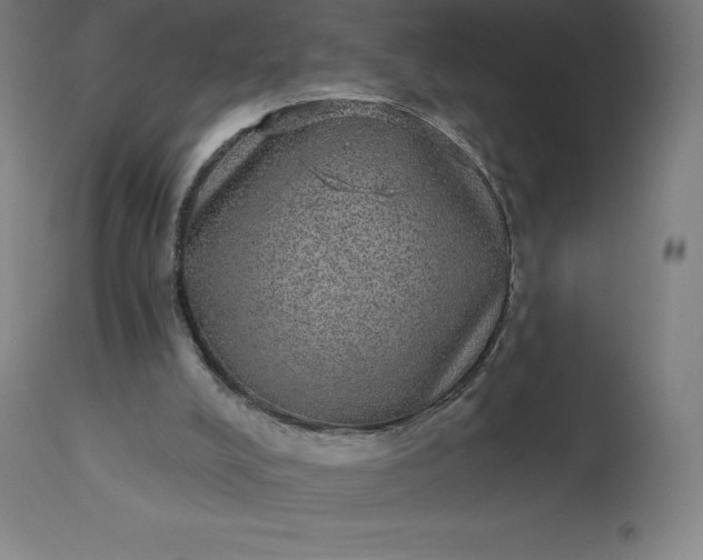 X0000113630008200910021903