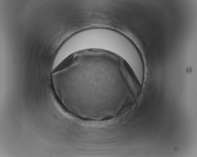 X0000113630009200910021903