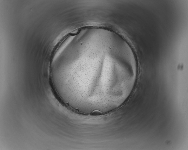 X0000113630011200910021903