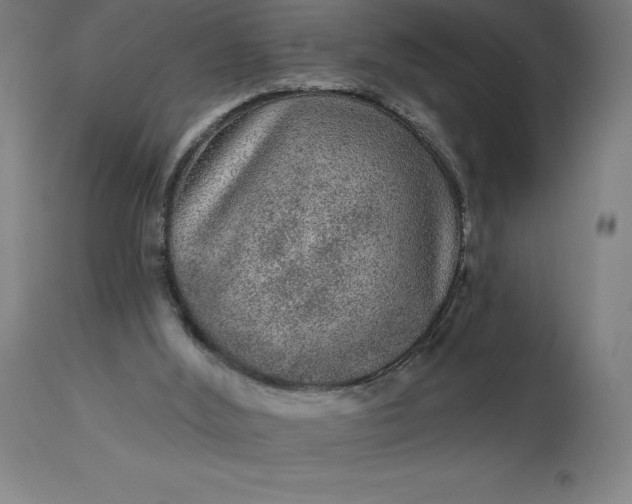 X0000113630012200910021903