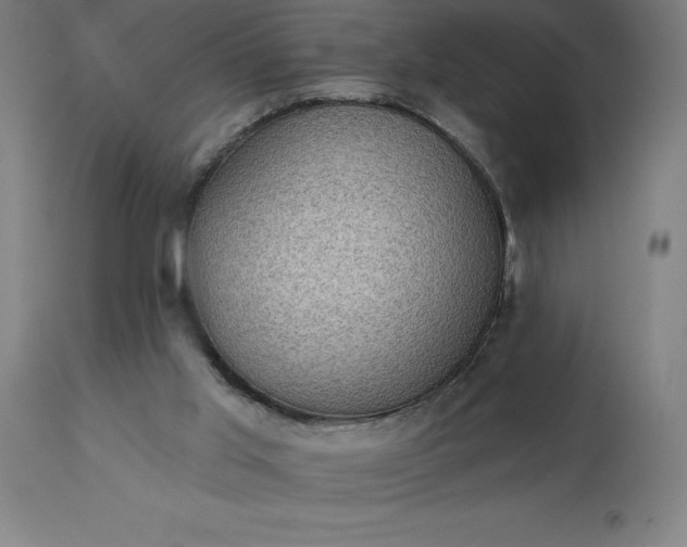 X0000113630013200910021903
