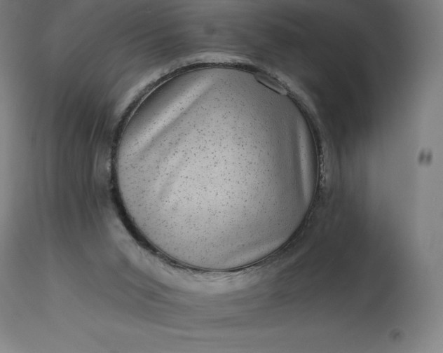 X0000113630015200910021903