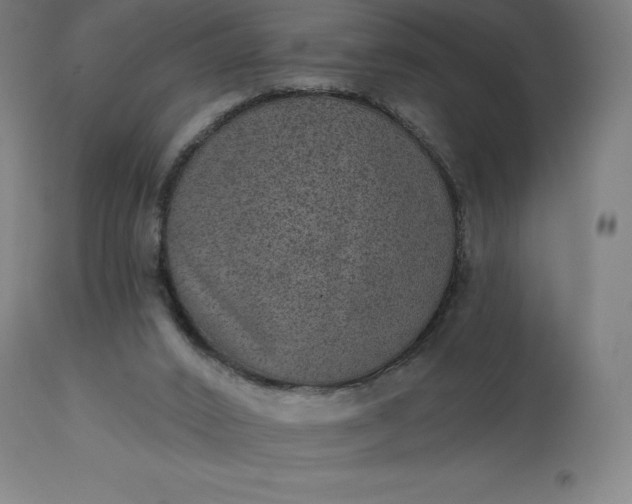 X0000113630016200910021903