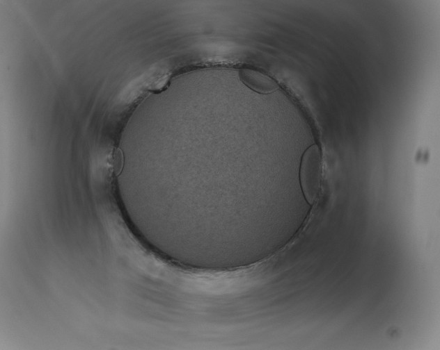 X0000113630017200910021903