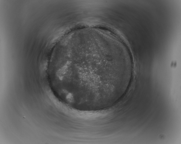 X0000113630018200910021903