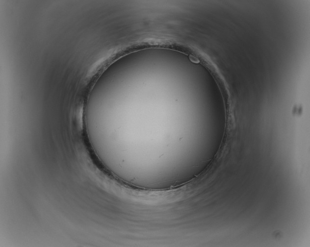X0000113630019200910021903