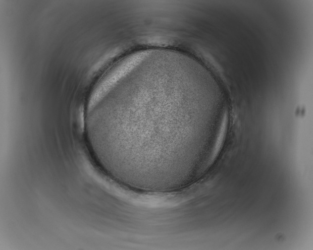 X0000113630020200910021903