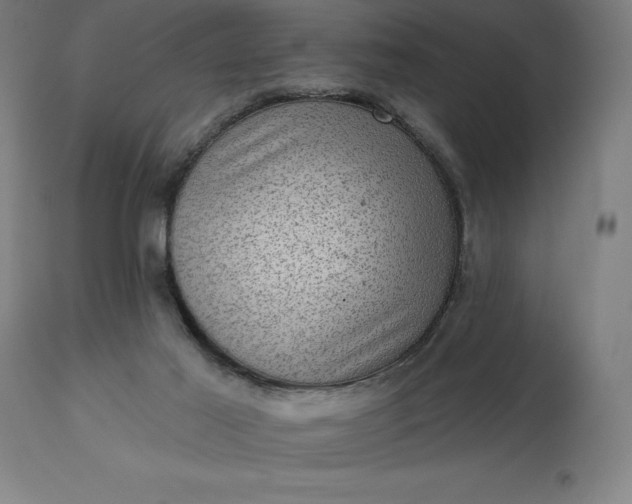 X0000113630021200910021903