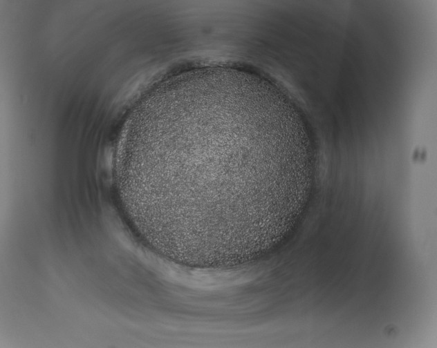 X0000113630022200910021903