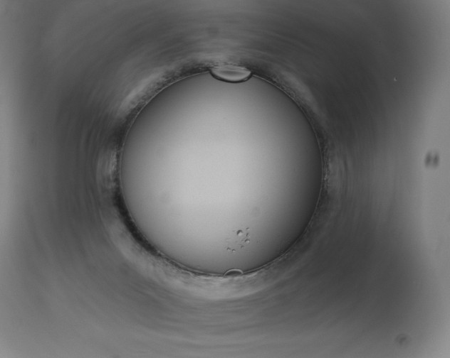 X0000113630023200910021903