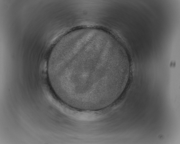 X0000113630024200910021903