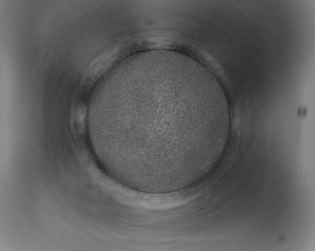 X0000113630026200910021903