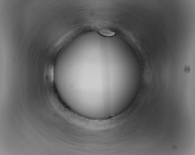 X0000113630027200910021903