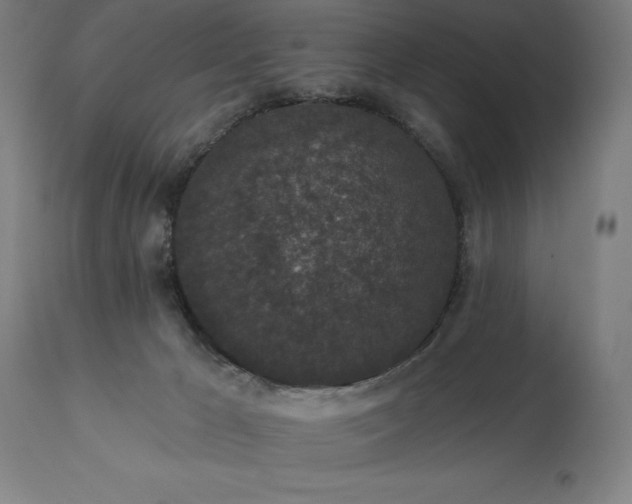 X0000113630029200910021903