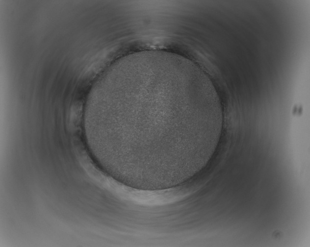 X0000113630030200910021903
