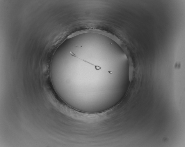 X0000113630031200910021903