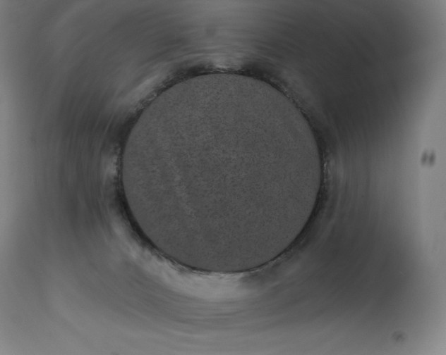 X0000113630032200910021903