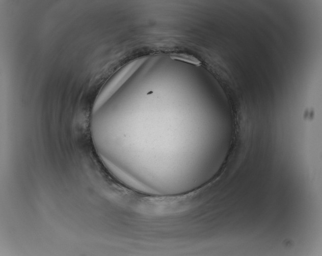 X0000113630033200910021902