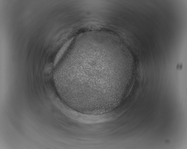 X0000113630034200910021902