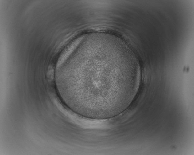 X0000113630036200910021902