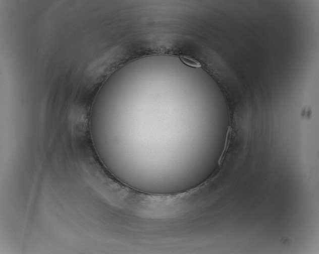 X0000113630037200910021902
