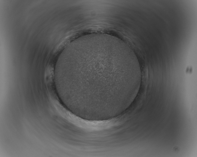 X0000113630038200910021902