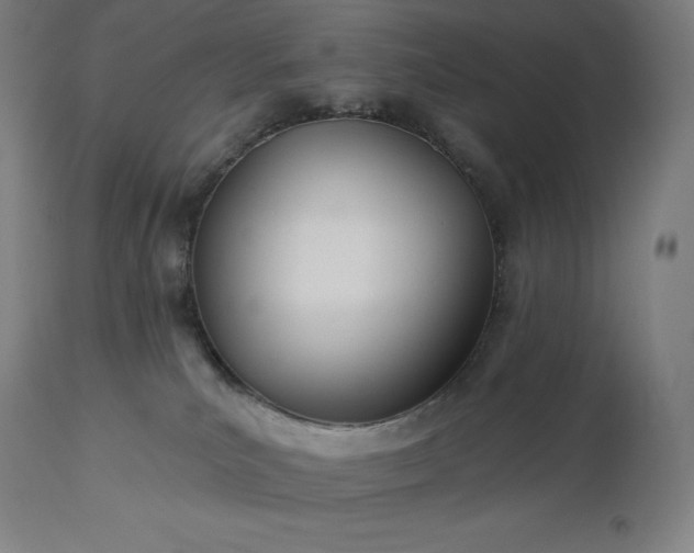X0000113630039200910021902