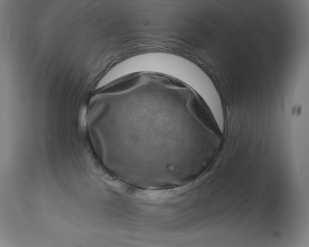 X0000113630041200910021902