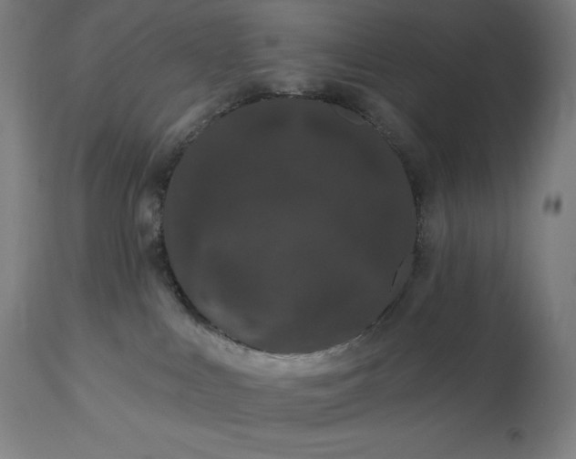 X0000113630043200910021902