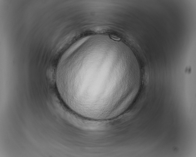 X0000113630044200910021902