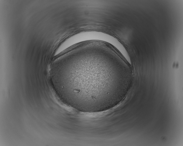 X0000113630045200910021902