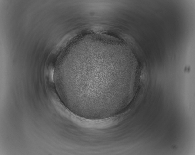 X0000113630046200910021902